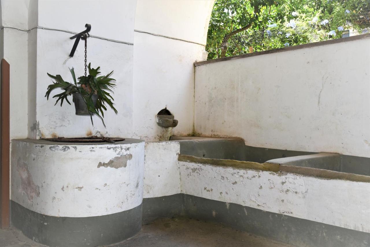 Casa Vacanza "Nonna Matilde" A Meta Di Sorrento, 600Mt Dal Mare, Casa Per 4 외부 사진